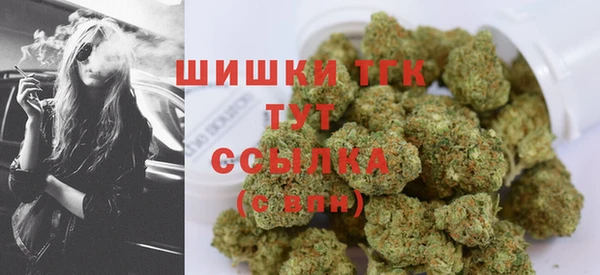 индика Гусев