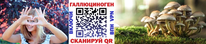 Галлюциногенные грибы мухоморы  кракен ТОР  Заволжск  купить  цена 